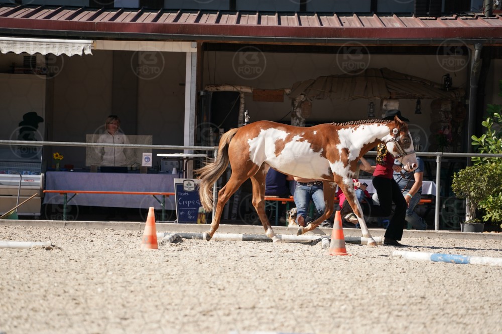 s_A_907481.JPG